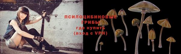 не бодяженный Балахна