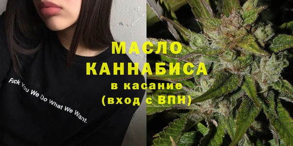 индика Сафоново