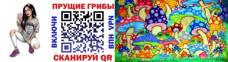 Псилоцибиновые грибы Cubensis  дарнет шоп  Новоаннинский 